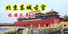 肏逼手机免费黄色网站中国北京-东城古宫旅游风景区